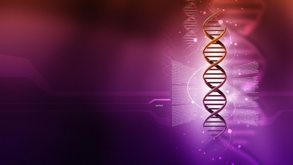 ДНК молекула