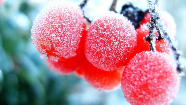 замороженные фрукты