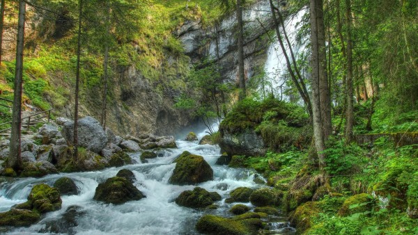 лесная речка, водопад, скалы, пейзаж, картинки, бесплатно