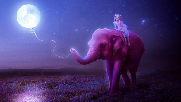 Маленькая девочка на розовом слоне