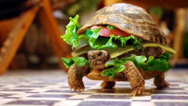 Черепаха-гамбургер