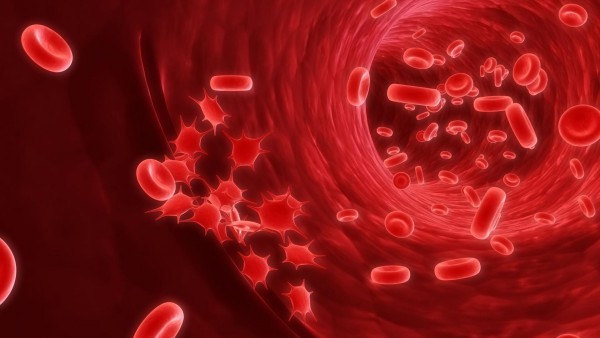 клетки крови