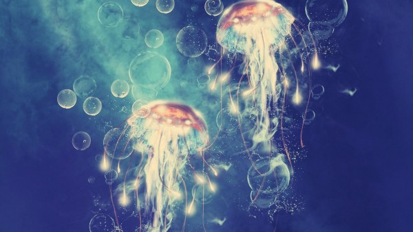 медузы на рабочий стол обои