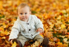 Милый ребенок, мальчик, Осенние листья, HD