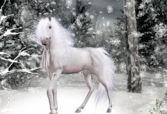 Красивая белая лошадь в лесу зимой