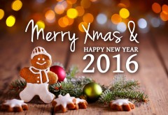 Merry Christmas and Happy New Year 2016