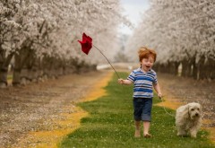 Веселый мальчик играет с собачкой весной обои дети