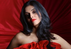 Красивая индийская девушка на красном фоне обои HD
