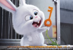 белый кролик Снежок из мультфильма