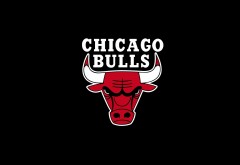 Чикаго Буллз Баскетбольная команда логотип обои