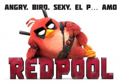 Angry Birds, RedPool, Энгри Бердз, Ред, красный, обои, картинки