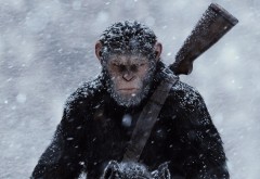 Война планеты обезьян фильм обои