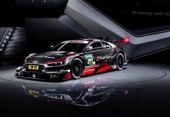 2017 Audi RS5 Coupe DTM спортивный автомобиль обои скачать