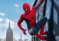 Человек-паук на небоскребе обои HD