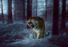 Мистический тигр в лесу обои