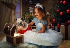 Новогодние обои девочка в платье с собачкой и сундуком