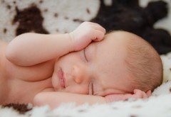 Обои спящего младенца с закрытыми ушками