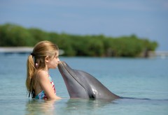 Картинки девочки и дельфина в море