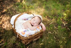 Малыш в корзинке на природе спит картинки