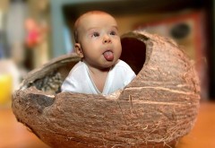 Малыш в кокосе смешные обои скачать фоны