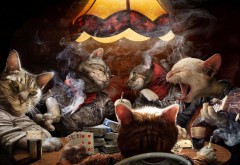 Коты играют в покер за столом и курят