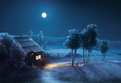 Голубая ночь полная луна в деревне