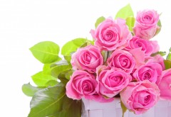 Букет розовых роз на белом фоне