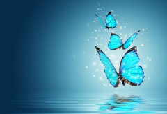 Голубые бабочки 