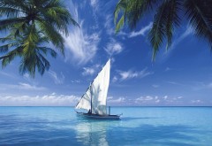 Кокосовые пальмы, синие облака, морской пейзаж, судно