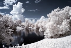 2560x1600, парк в Норвегии снежные покровы