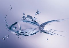 Абстрактные обои рыбы из воды в воде