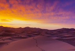 Пустыня Сахара песчаные дюны обои на рабочий стол