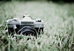 Старая фотокамера на траве картинки скачать