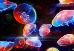 Стая подводных медуз ярких цветов