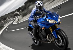 Фото мотоцикла марки Yamaha Father синего цвета скачать