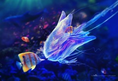 Рыбка и медуза фото