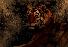 Тигр, рисованные, хищник, фэнтези, абстрактные, обои hd, �…