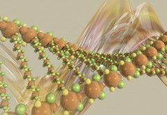Фото ДНК молекула строение