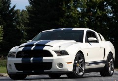HD 2010 Shelby Mustang GT 500