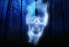 лес, череп, призрак, Хэллоуин