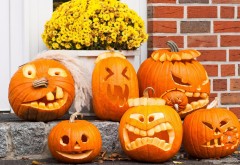 wallpaper, pumpkin, funny, faces, Halloween