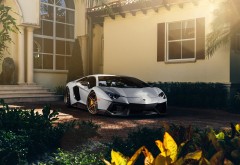 картинки Lamborghini Aventador 